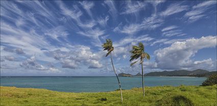 Lord Howe Island - NSW T (PBH4 00 11784)
